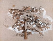 Belaubter Baum