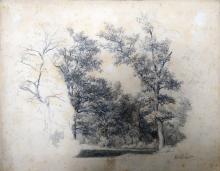 Parklandschaft