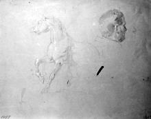 Pferd und m&auml;nnlicher Kopf (Kopie nach Horace Vernet)