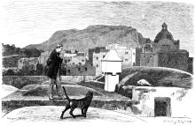 Der Trompeter von Säkkingen - Scheffel auf den Dächern in Capri