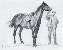 Moltkes Pferd