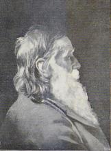 Profilbildnis eines alten Mannes mit langem Vollbart