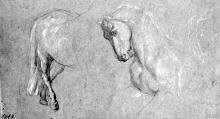 Pferdekopf und Hinterhand (Kopie nach Horace Vernet)