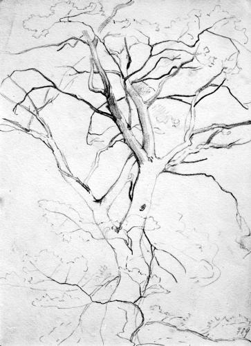 Bild zum Kunstwerk