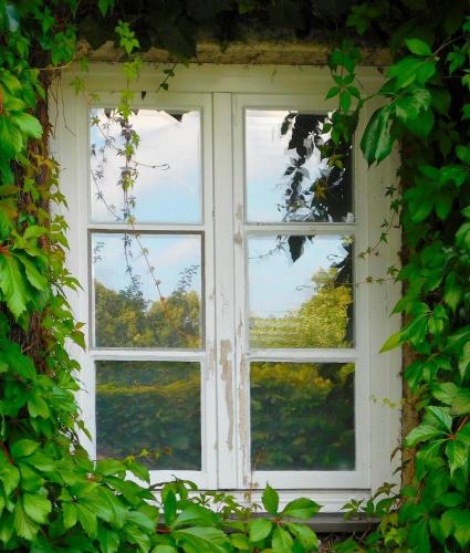 Pixabay: AngelikaGraczyk (2016) Bild zum Schlagwort