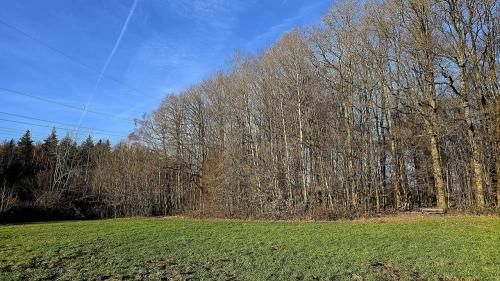 Bild zum Schlagwort