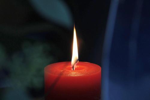 Pixabay: TanteTati (2021) Bild zum Schlagwort