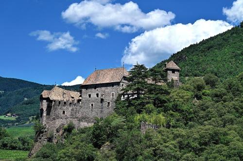 Pixabay: PeterG63 (2022) Bild zum Schlagwort