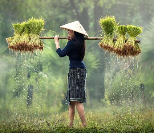 Pixabay: sasint (2016) Bild zum Schlagwort