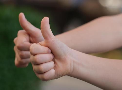 Pixabay: leopoldboettcher (2019) Bild zum Schlagwort