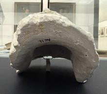 Bild zu Verschiedenes