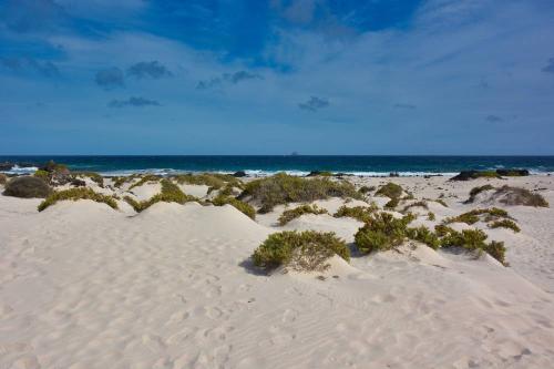 Pixabay: Rudimaes (2020) Bild zum Schlagwort