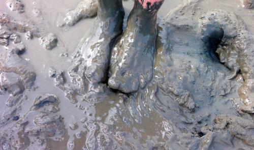 Pixabay: Liriny (2015) Bild zum Schlagwort