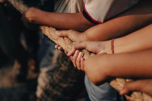 Pixabay: cine_journey (2024) Bild zum Schlagwort