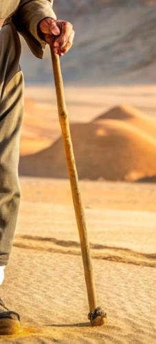 Pixabay: BulentYILDIZ (2024) Bild zum Schlagwort