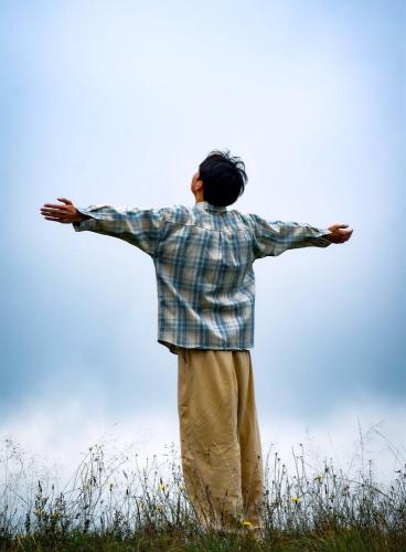 Pixabay: FishDreams (2023) Bild zum Schlagwort